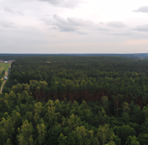 Jakie ryzyko niesie ze sobą niedostateczne przycinanie drzew w pobliżu linii energetycznych – Wrocław?