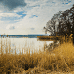Raj dla miłośników wodnych atrakcji: Odkryj uroki Jeziora Przeczyckiego