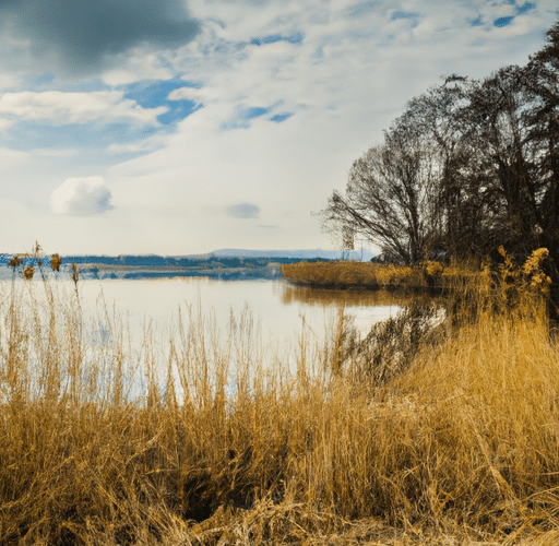 Raj dla miłośników wodnych atrakcji: Odkryj uroki Jeziora Przeczyckiego