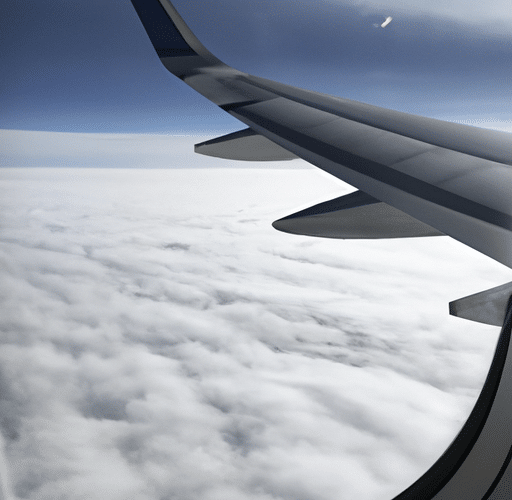 Lot z perspektywy ptaka – jakie są sekrety latania